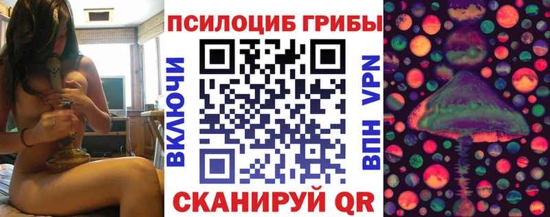Псилоцибиновые грибы ЛСД  Купить  Судак 